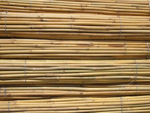 caña bambu