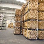 caña bambu