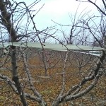 cinta de toldo