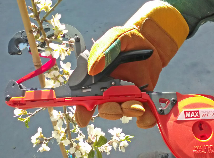 02 Atadora Max Tapener HT-R | Montoliu